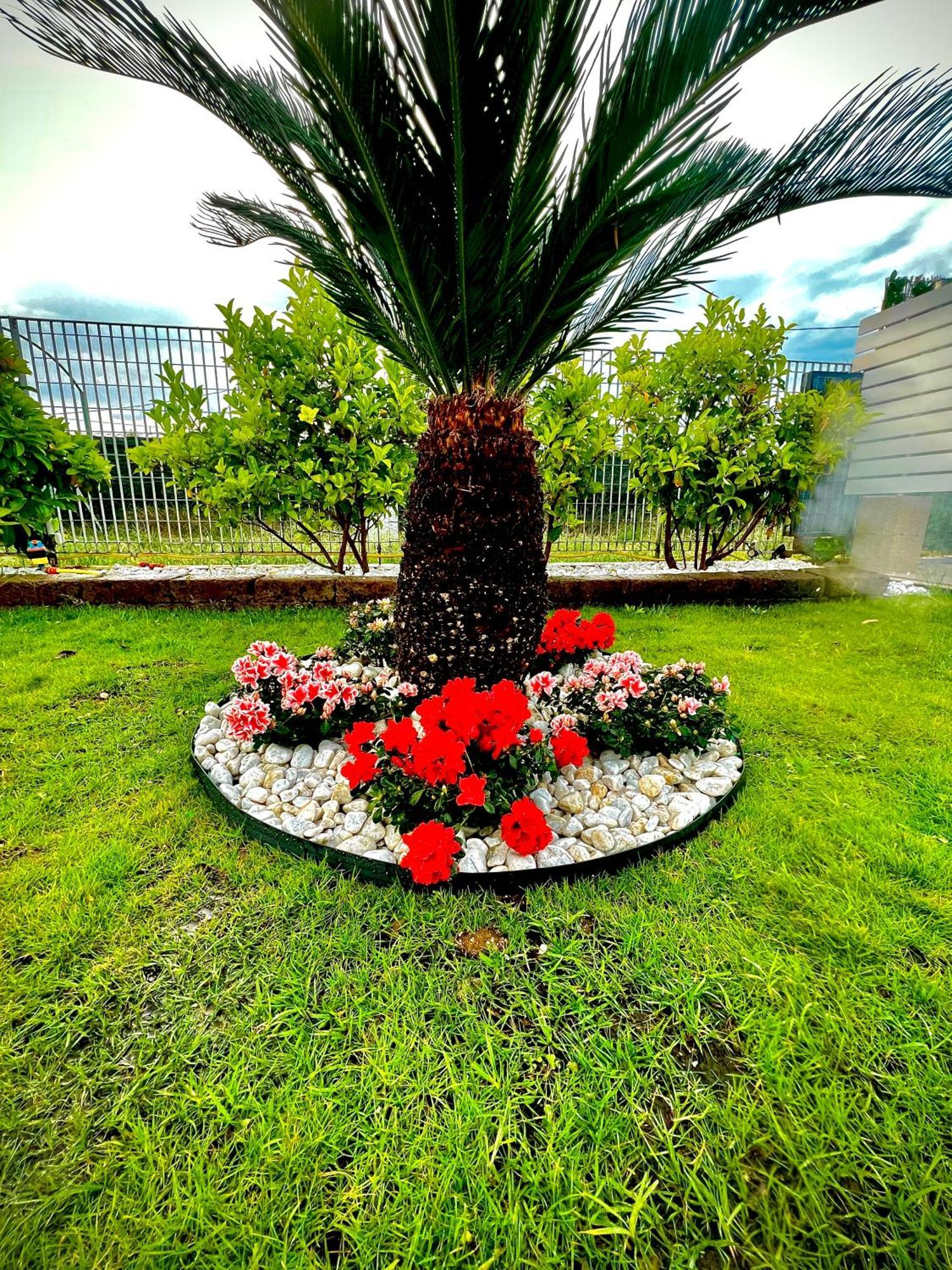 Villa Latino เวียสเต ภายนอก รูปภาพ